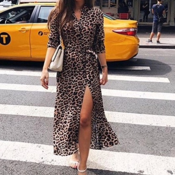 leopard print maxi dress zara